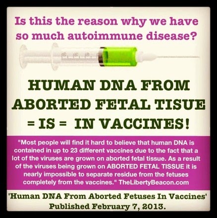Celule+fetale+in+vaccinuri
