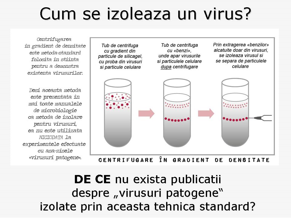 Cum se izoleaza un virus